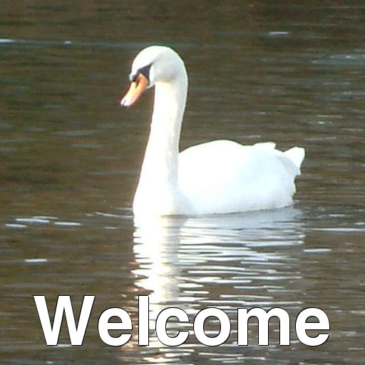Welcome