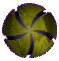 Synthaeum
